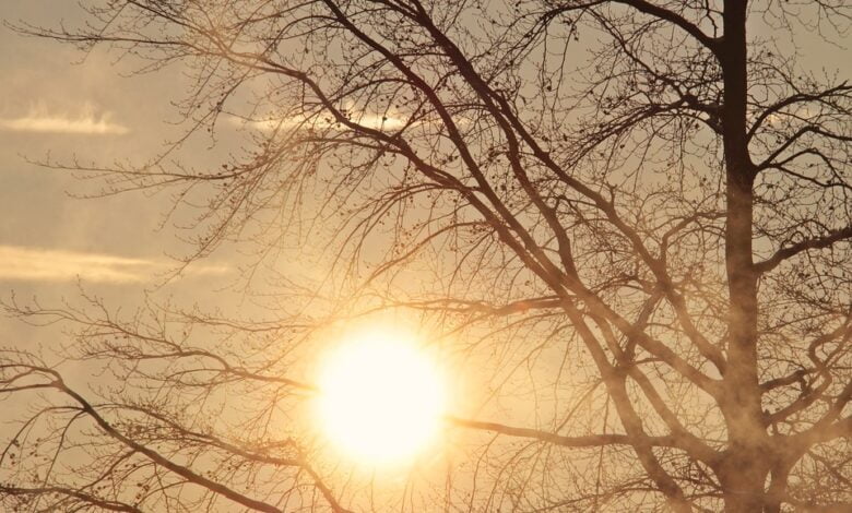 Parashikimi i motit për sot