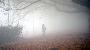 Parashikimi i motit për sot