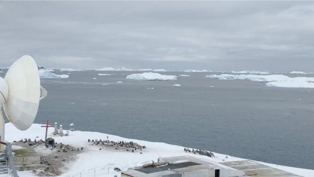 shkencetaret-parashikojne-kolapsi-i-antarktides-eshte-i-pandalshem