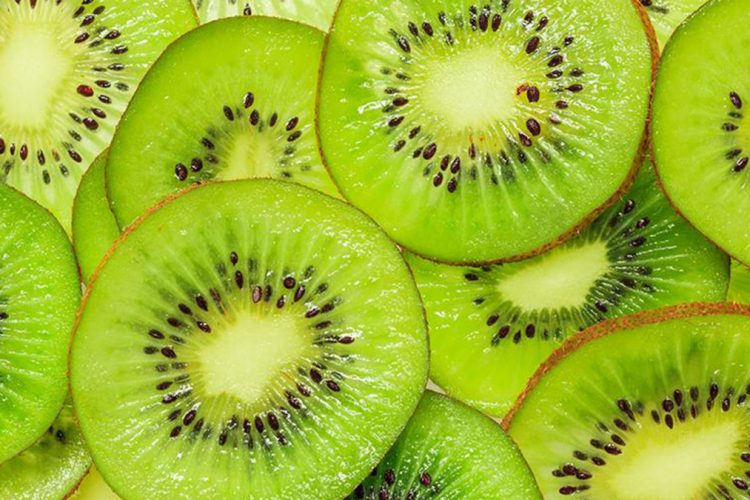 AUV zbuloi mbi 2 ton kivi me larva dhe insekte  urdhëroi asgjësimin