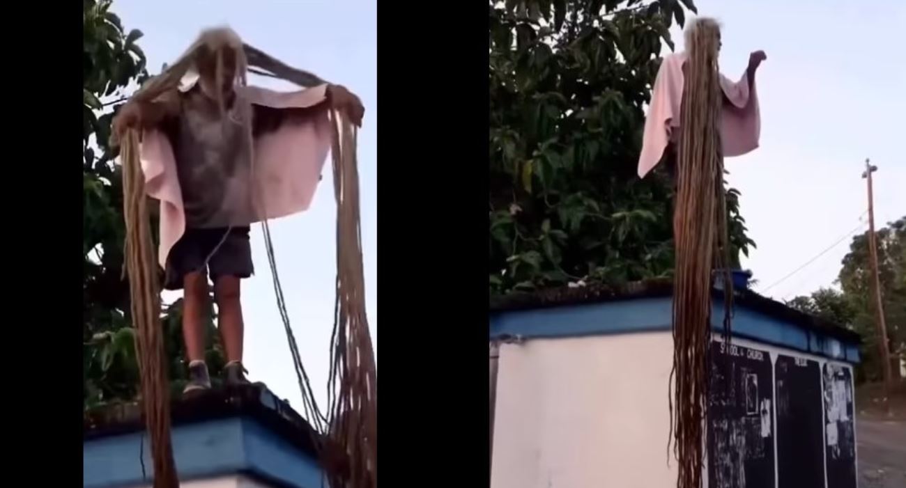 40 vite pa prerë flokët, rezultati është fantastik - Alsat