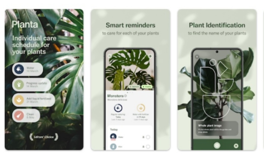 “Plant” – një aplikacion që ndihmon në kujdesin e bimëve të brendshme dhe të llojeve të tjera