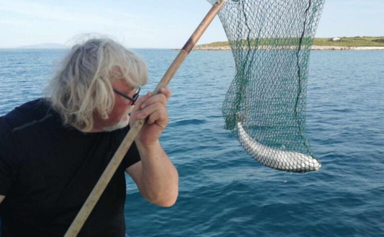 FOTO | Peshku më helmues në botë kapet në Kroaci: Helmi i tij mund të vrasë 30 njerëz