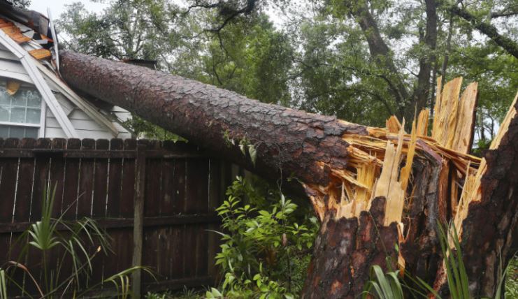 Florida goditet nga stuhia, vendi shpall gjendjen e jashtëzakonshme