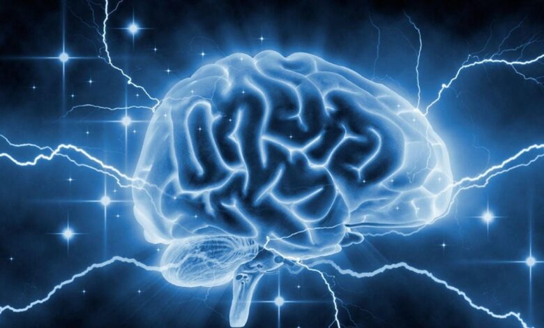 shkencetaret-zbulojne-fuqine-e-fshehur-te-trurit-per-djegien-e-dhjamit