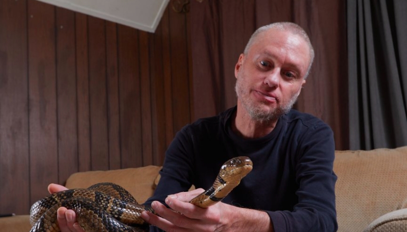 sekreti-shokues-i-kafsheve-qe-hane-helm-dhe-nuk-helmohen-a-mund-ta-beje-edhe-njeriu