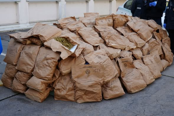 Dogana konfiskoi 130 kilogramë marihuanë në Tabanoc