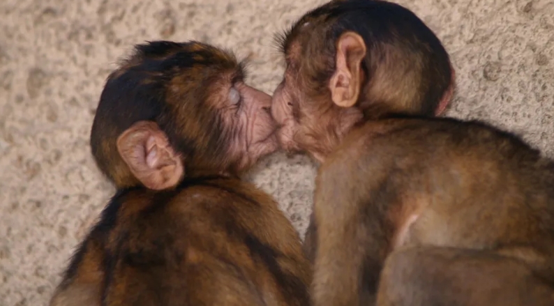 puthja-e-pare-daton-21-milione-vite-me-pare