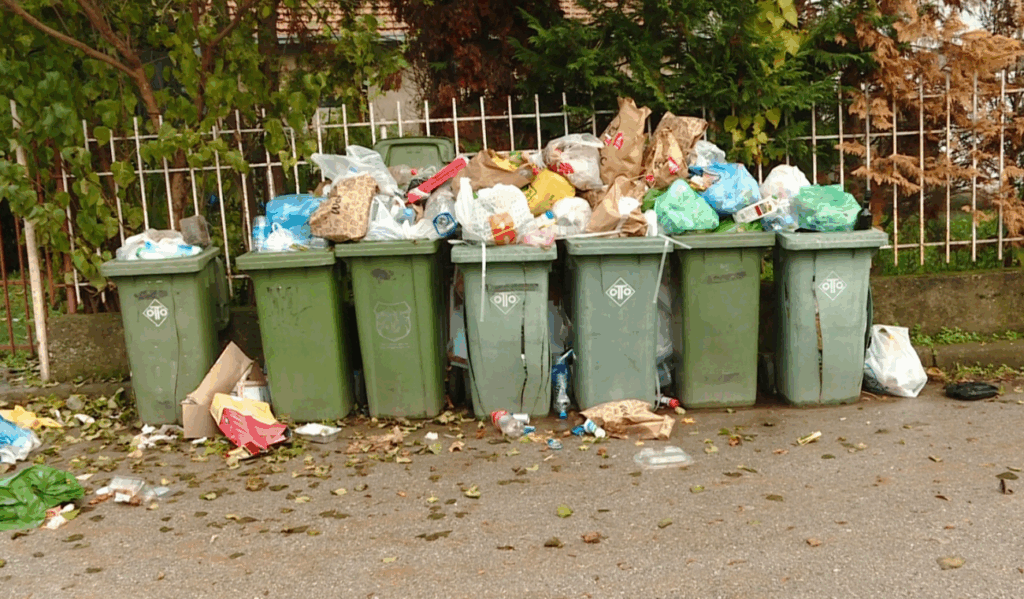 ne-disa-lagje-te-vodnos-banoret-vazhdojne-te-perballen-me-problemin-e-grumbullimit-te-mbeturinave