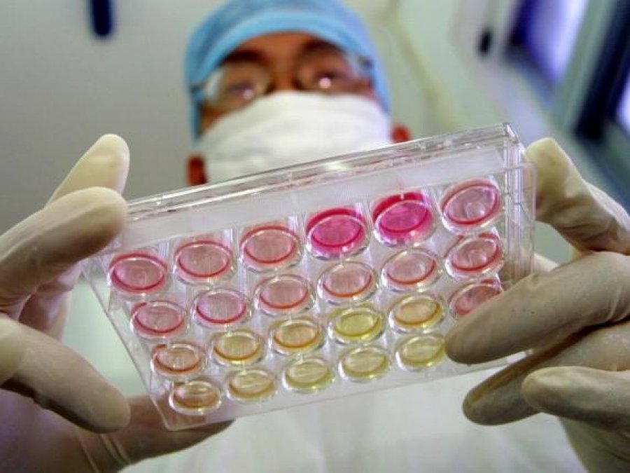 Kina dhe kërkimi i përjetësisë  si po kthehet në biznes