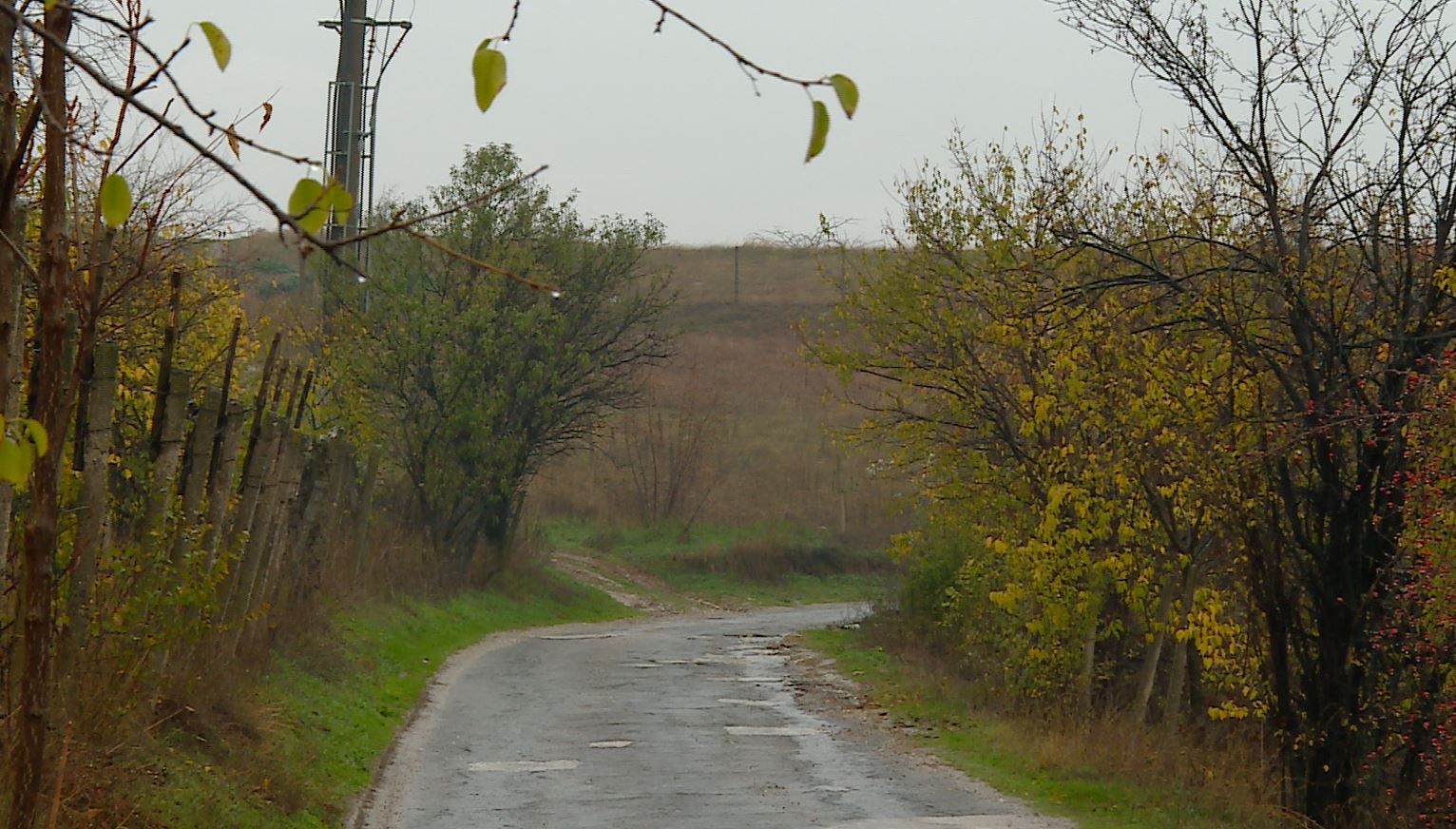Reshjet e dendura shkaktojnë rrëshqitje dhe bllokime në rrugët kryesore