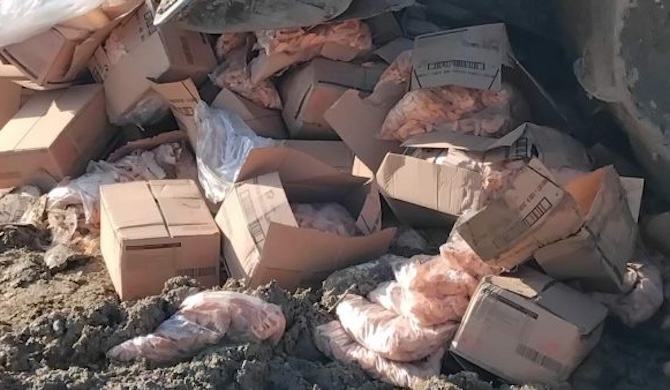 Zbulohen 20 ton patate  pomfrit  me afat të skaduar