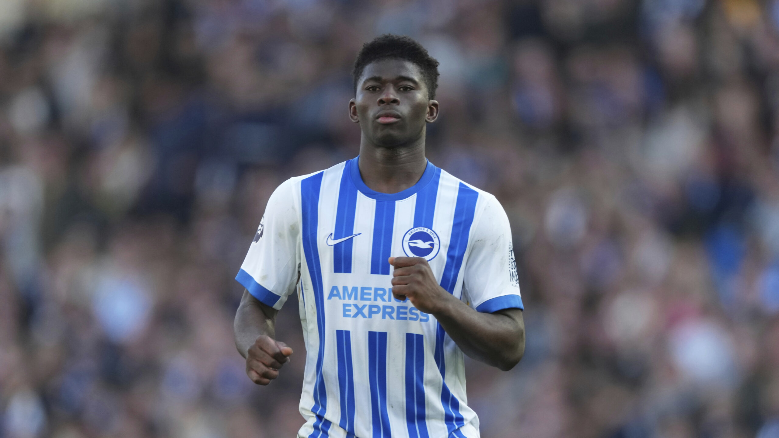 Brajtoni është gati të dëgjojë ofertat për mesfushorin e talentuar