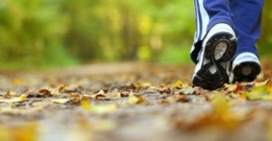 Ecja e shpejtë mund të ngadalësojë procesin biologjik të plakjes