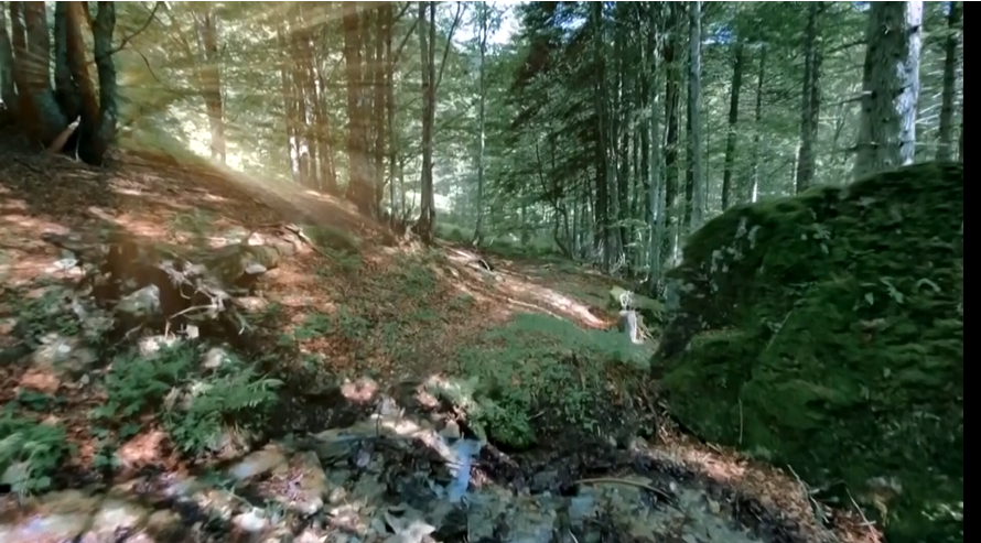  Pyjet Kombëtare   259 persona në vend të terrenit  qëndronin në zyrë