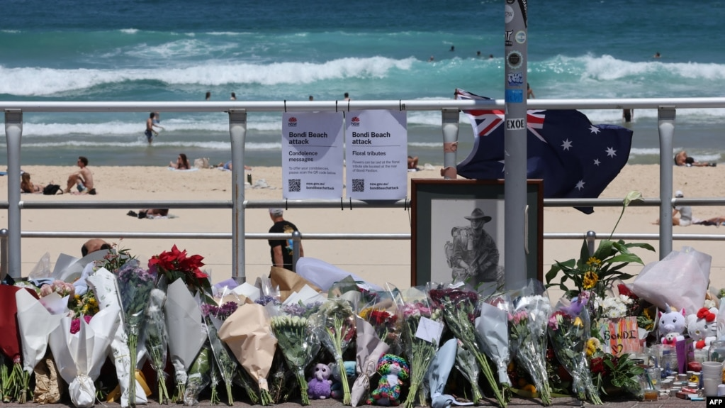 I dyshuari për sulmin në plazhin australian akuzohet për 59 vepra penale