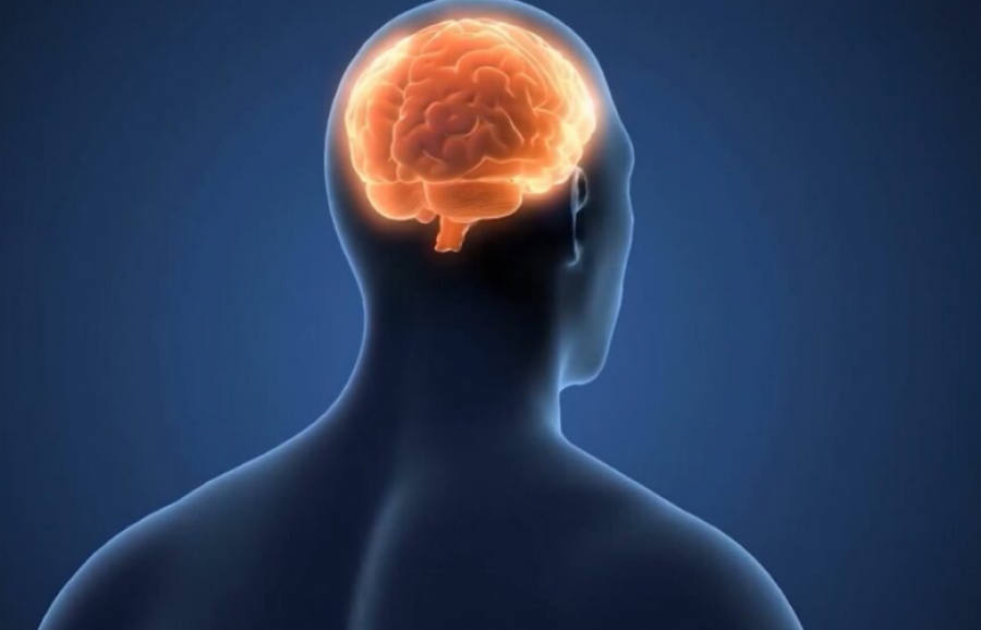 Truri mëson edhe nga përvojat e imagjinuara