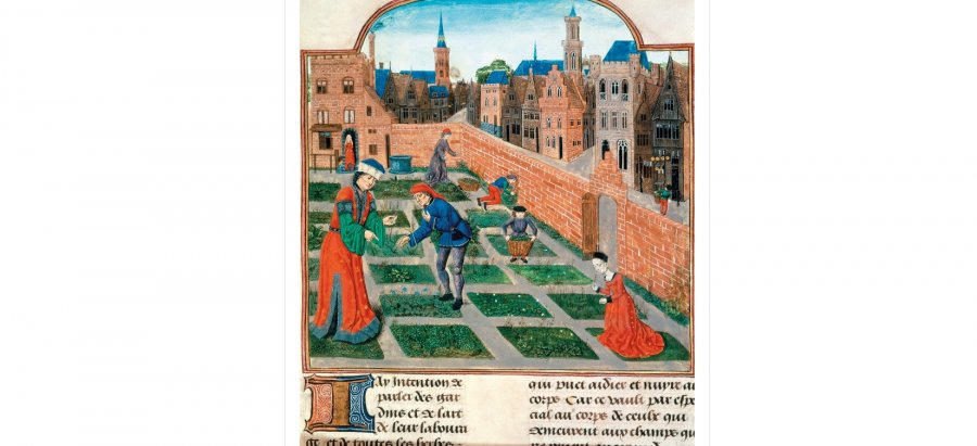 Si dukej një barnatore në Europën e Mesjetës 