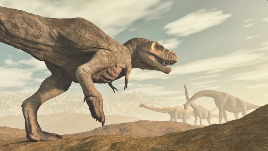 Numër rekord i gjurmëve të fosilizuara të dinosaurëve zbulohet në Bolivi