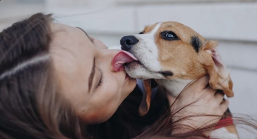 lepirja-e-qenit-nuk-eshte-puthje-ja-kuptimi-i-vertete-pas-ketij-veprimi