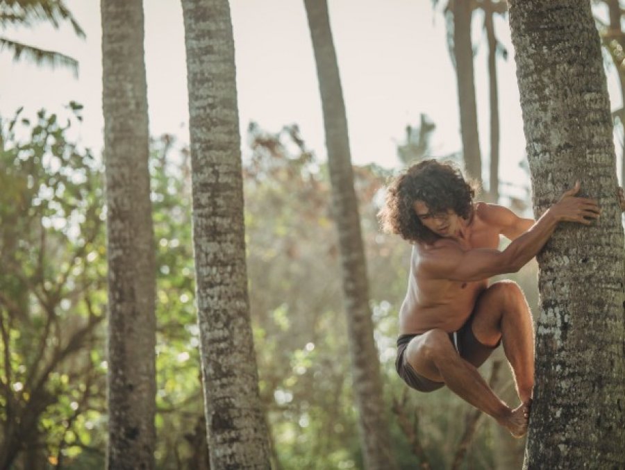 Njerëzit nuk zhvilluan dy këmbë për të vrapuar  thjesht donin disa mango