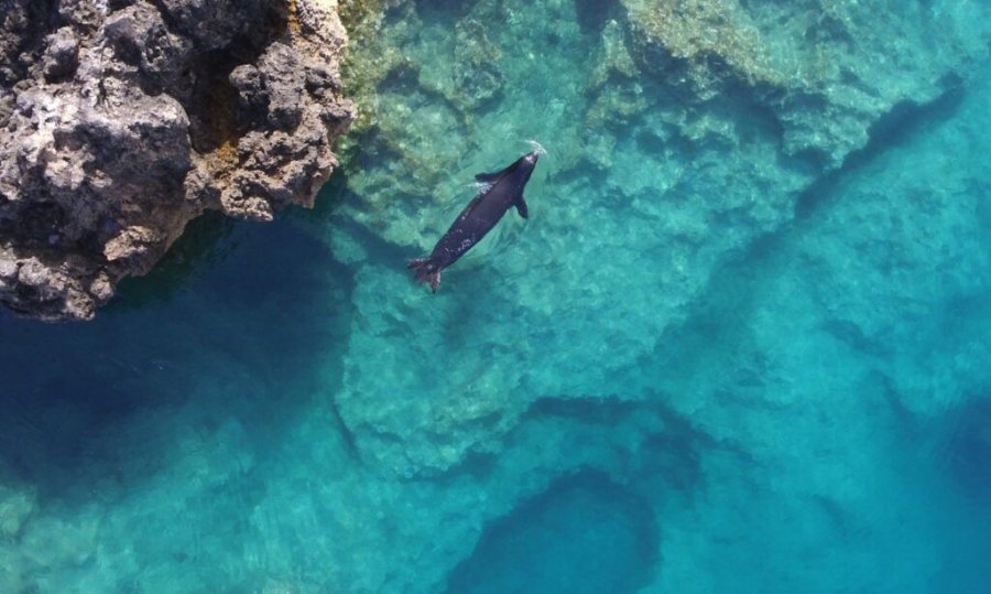 greqi-si-fokat-e-rralla-fshihen-ne-shpella-per-t-i-shpetuar-turisteve