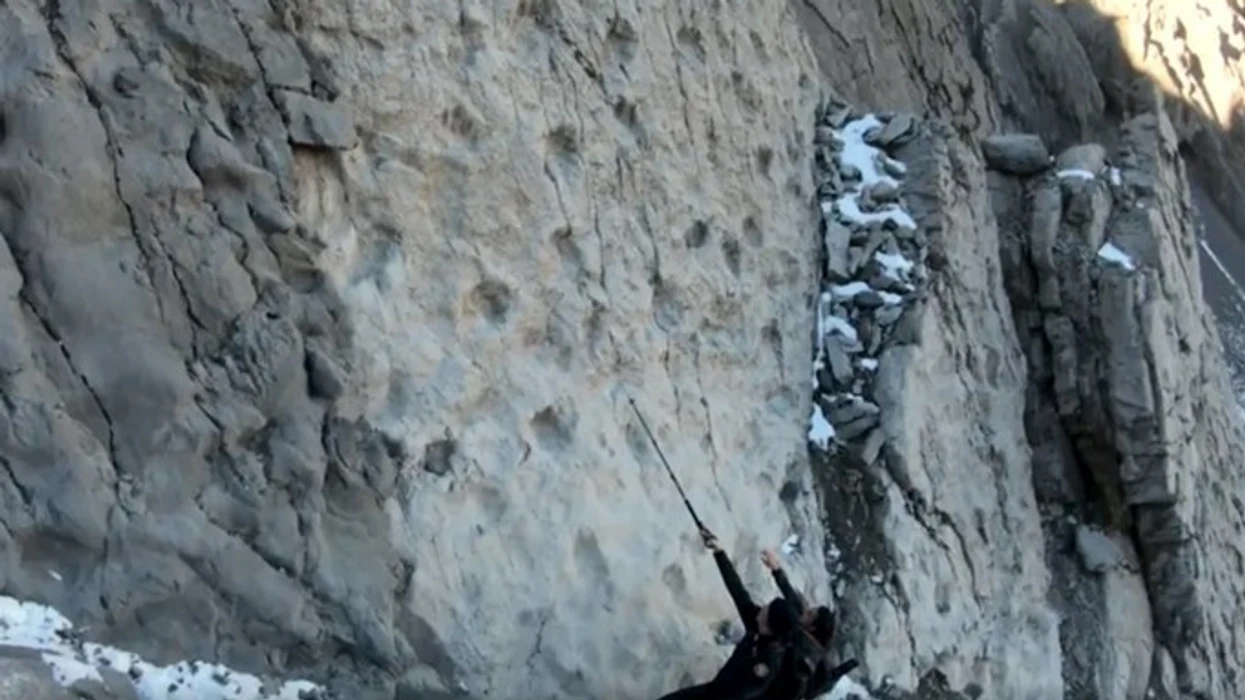 Gjurmët 210 milionë vjeçare të dinozaurëve tronditin shkencëtarët italianë