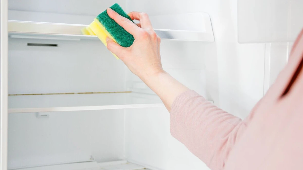 frigoriferi-do-te-jete-i-paster-dhe-pa-ere-te-pakendshme-nese-sperkatni-nje-perberes-nga-kuzhina