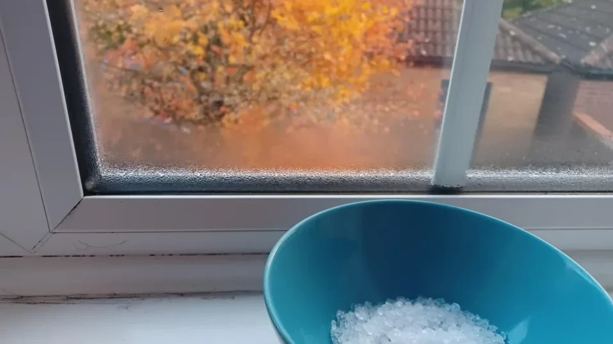 Kripa në dritare  zgjidhja e thjeshtë për të luftuar lagështinë gjatë dimrit