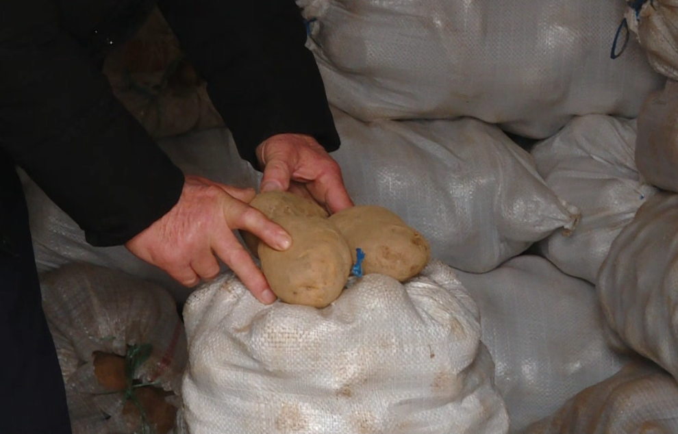 Rreth 30 tonë patate të bujkut Rahman Ibrahimi nga Tanusha kanë mbetur të pashitura