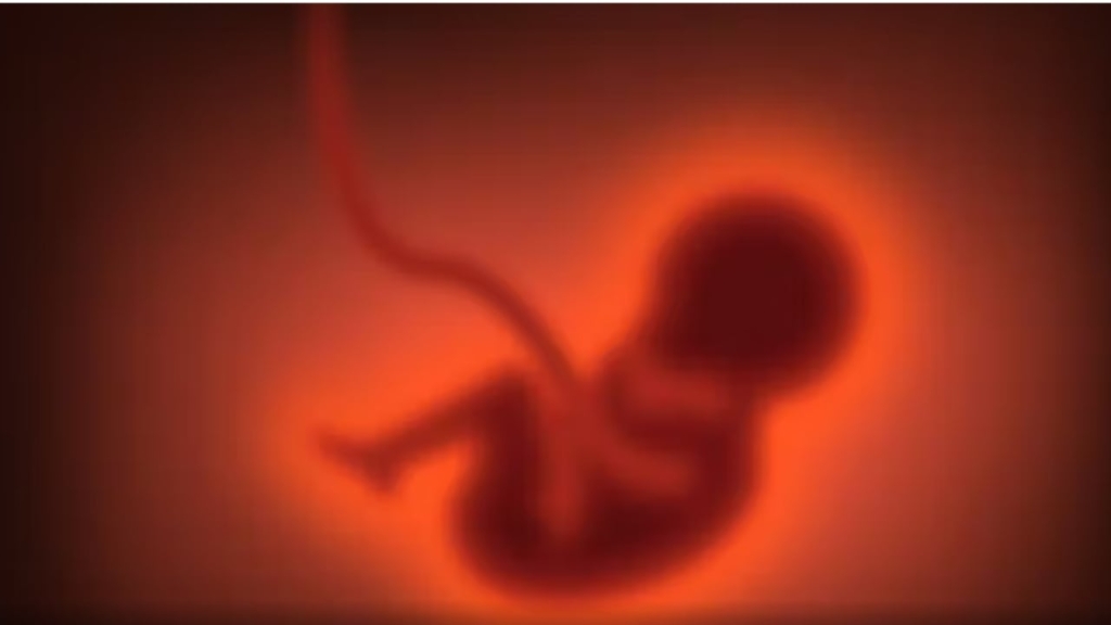 Fëmijë me porosi  në SHBA plasin polemikat për start up e gjenetikës