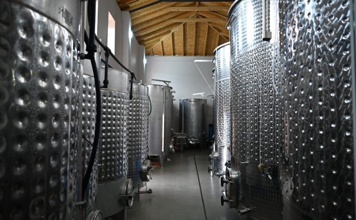 pogradeci-rikthen-ne-jete-varietetet-autoktone-te-rrushit