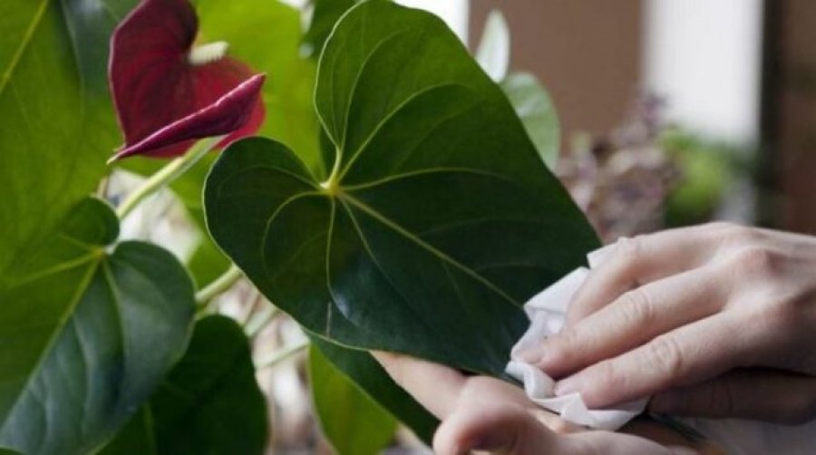 larja-e-rregullt-e-bimeve-ja-pse-eshte-e-domosdoshme-per-shendetin-e-tyre