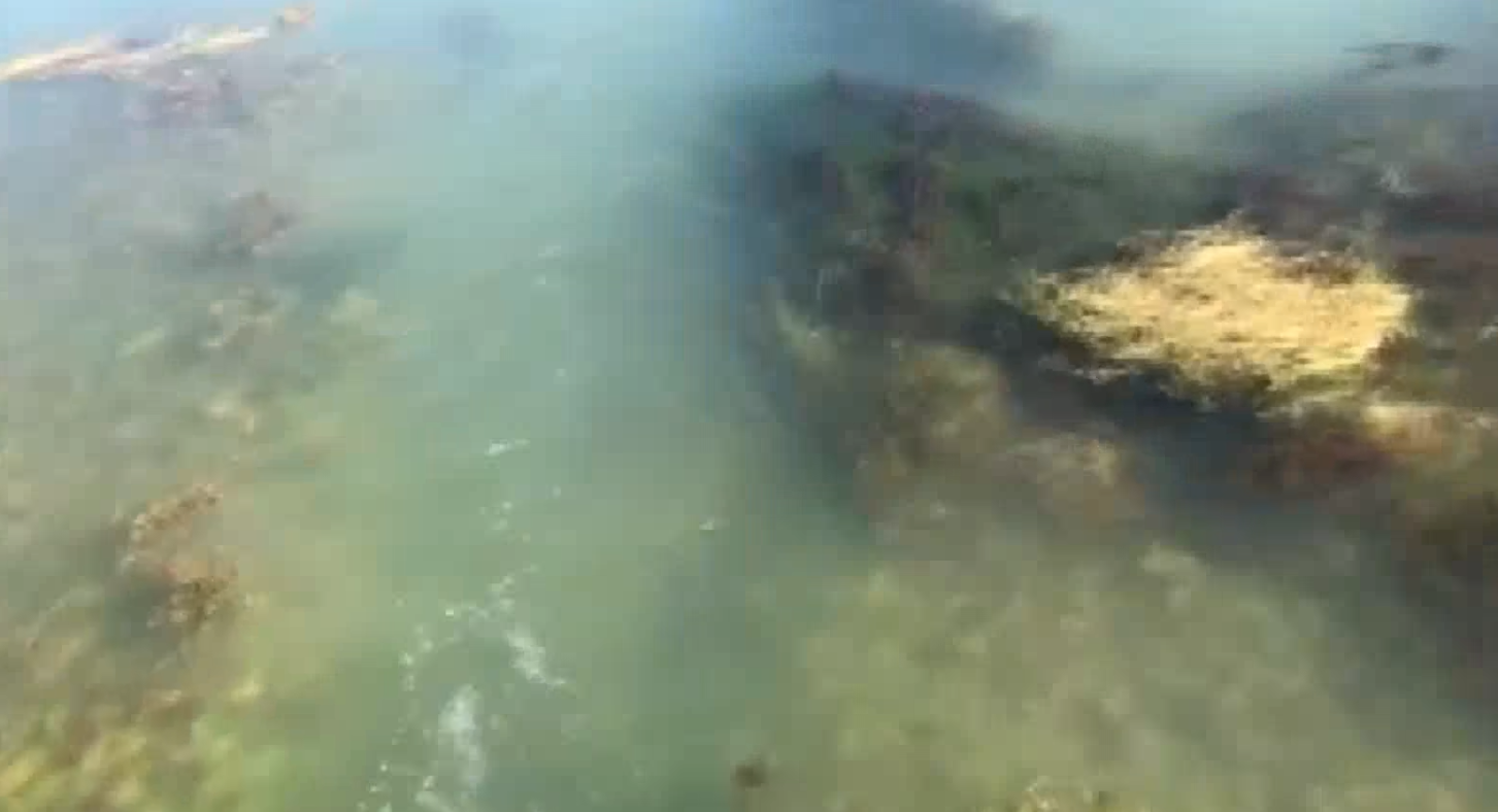 kapen-makineri-te-dy-firmave-qe-ndoten-burimet-te-shumte