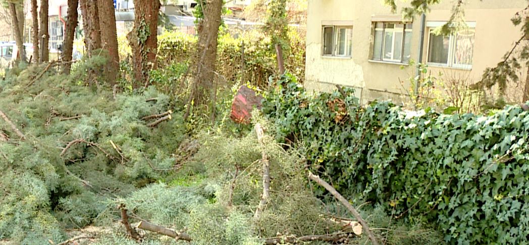 Era e fortë shkaktoi dëme të konsiderueshme  ndërhynë QMK ja