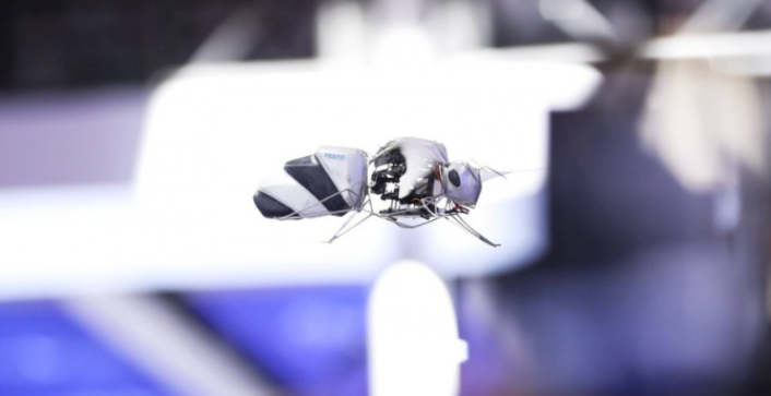 Shkencëtarët në BE dhe SHBA po zhvillojnë bletë robotike për shkak të zhdukjes së pjalmuesve