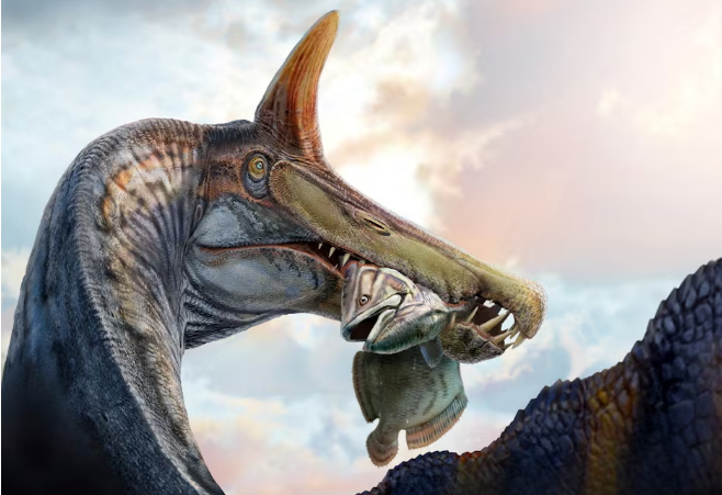 Një ekip paleontologësh në Sahara zbuluan një fosil të një dinosauri që ushqehej me peshq