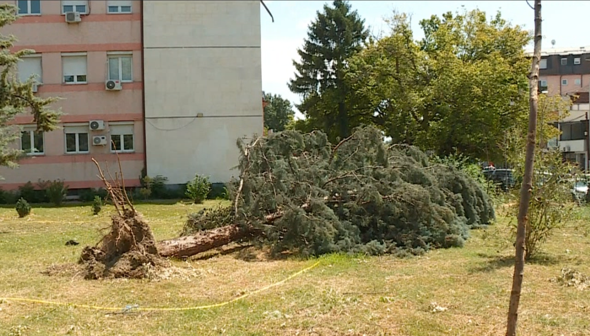 Gjashtë ditë pas stuhisë  Shkupi ende i mbuluar nga pemët dhe degët e rrëzuara