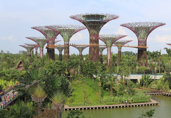singapori-do-te-mbjelle-nje-milion-peme-per-te-luftuar-valet-e-te-nxehtit